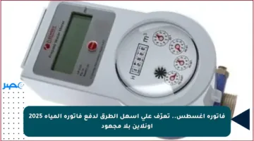 فاتورة أغسطس.. تعرّف على أسهل الطرق لدفع فاتورة المياه 2025 أونلاين بلا مجهود